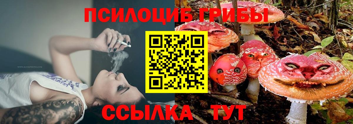 Псилоцибиновые грибы Cubensis  Вход с VPN  Надым 